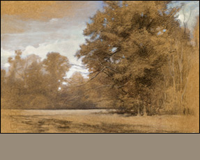 Drawing by Jeffrey Mims,  Landscape Study, Mixed media on toned paper 